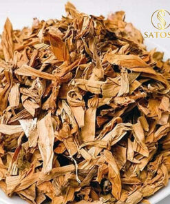 Cây náng hoa trắng khô SATOSO - Ảnh 8