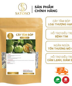 Cây Tầm Bóp Túi Lọc SATOSO