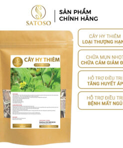 Cây hy thiêm khô SATOSO - Ảnh 9