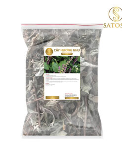 Cây hương nhu khô thượng hạng SATOSO - Ảnh 9