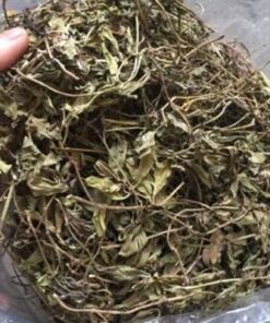 Cây Sài Đất Khô Trị Rôm Sẩy , Giúp Mát Gan Hiệu Quả Thương Hiệu SATOSO - Ảnh 4
