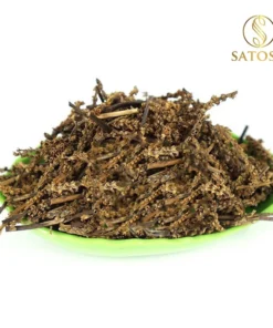 Cây mã đề khô SATOSO - Ảnh 5
