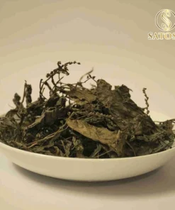 Cây mã đề khô SATOSO - Ảnh 4
