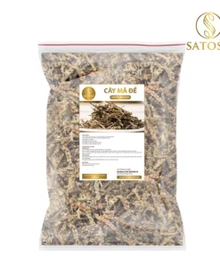 Cây mã đề khô SATOSO - Ảnh 2