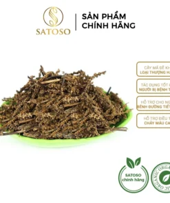 Cây mã đề khô SATOSO