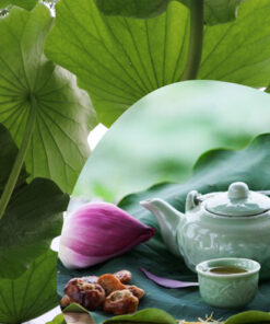 Trà Lá Sen Cuộn Sấy Khô SATOSO - Ảnh 3