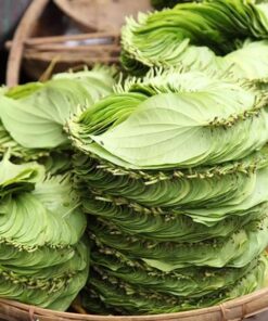 Lá Trầu Không Khô SATOSO - Ảnh 3