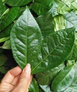 Lá chè Xanh Khô Thái Nguyên SATOSO - Ảnh 3
