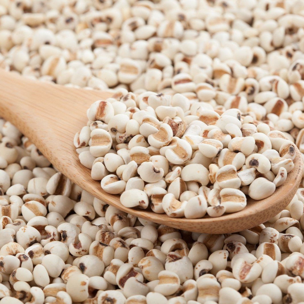 Hạt Ý Dĩ Thương Hiệu SATOSO - Ảnh 3