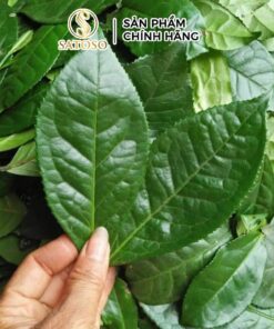 Lá chè Xanh Khô Thái Nguyên SATOSO