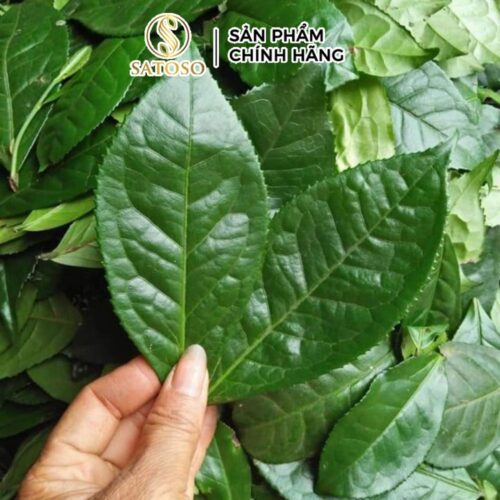 Lá chè Xanh Khô Thái Nguyên SATOSO