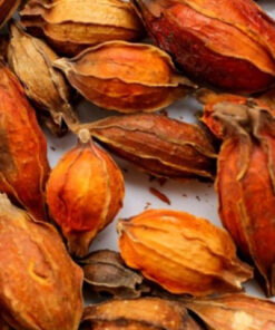 Quả dành dành khô thương hiệu SATOSO
