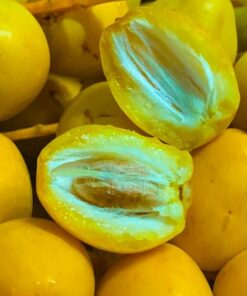 Chà là mật hữu cơ SATOSO - Ảnh 2
