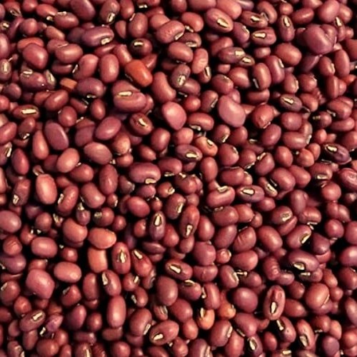 Đậu đỏ thương hiệu SATOSO - Ảnh 4