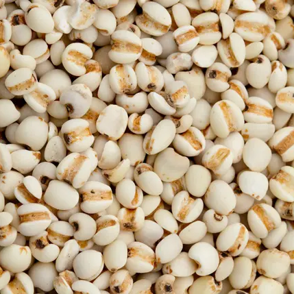 Hạt Ý Dĩ Thương Hiệu SATOSO