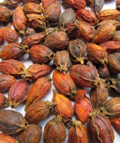 Quả dành dành khô thương hiệu SATOSO - Ảnh 4