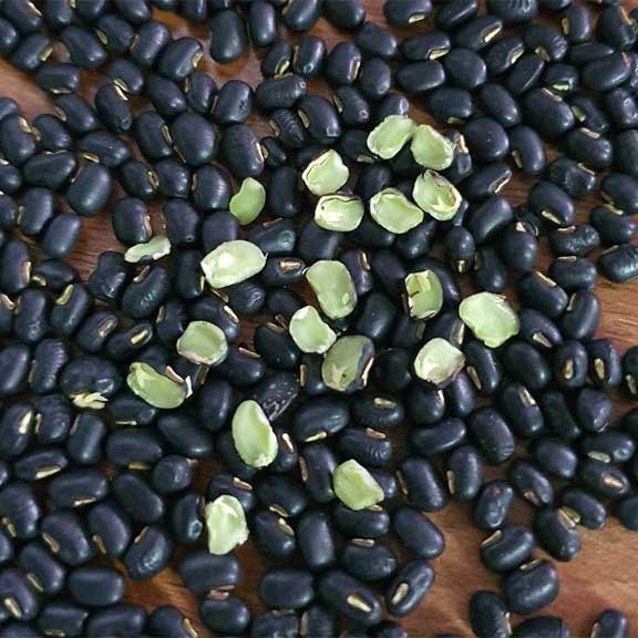 Đậu Đen Xanh Lòng Thương Hiệu SATOSO - Ảnh 5