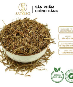 Tác dụng của Cà Gai Leo Khô: Bí quyết bảo vệ gan hiệu quả