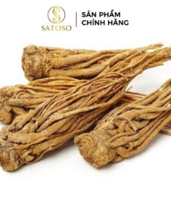 Công dụng của Đương Quy Khô: Bí quyết chăm sóc sức khỏe tự nhiên