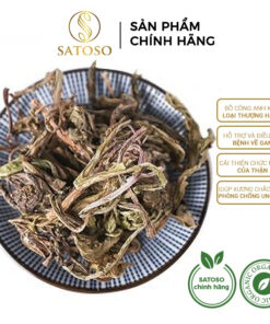 Tác dụng của Bồ Công Anh Khô: Bí quyết sống khỏe từ thiên nhiên