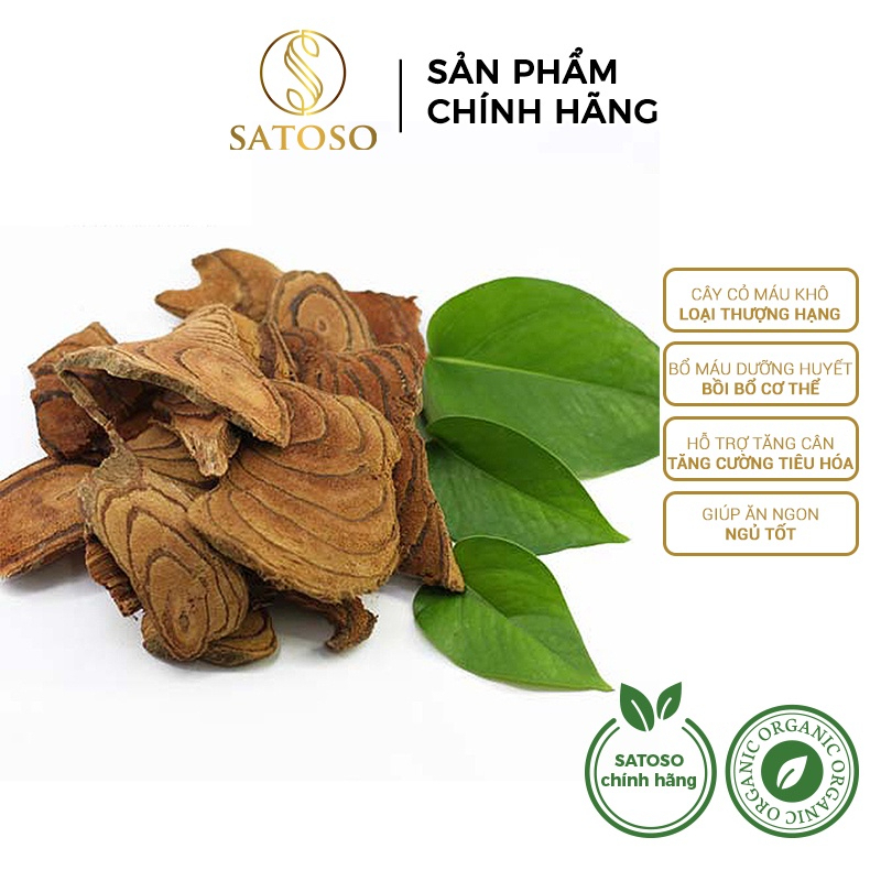 Cây Cỏ Máu Khô SATOSO