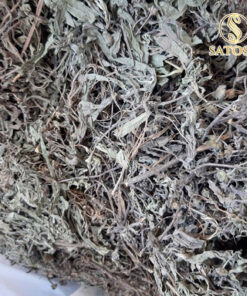 Cây Nhọ Nồi Thượng Hạng SATOSO - Ảnh 3