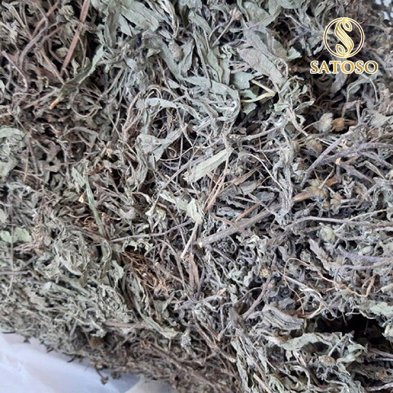 Cây Nhọ Nồi Thượng Hạng SATOSO - Ảnh 3