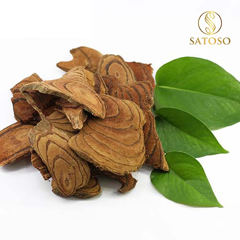 Cây Cỏ Máu Khô SATOSO - Ảnh 2