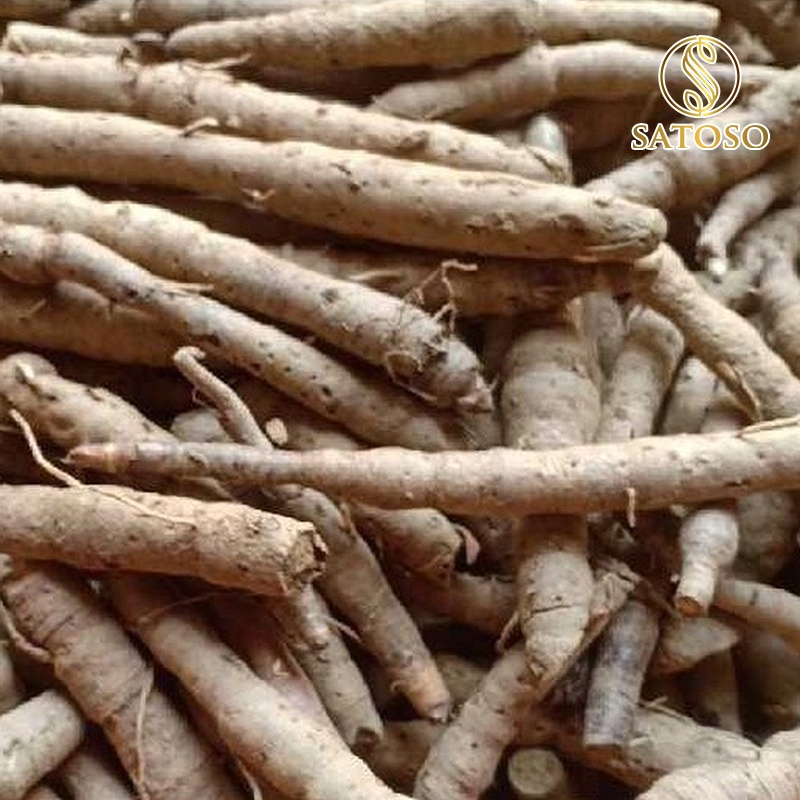 Sâm Cau Đen Khô SATOSO - Ảnh 2