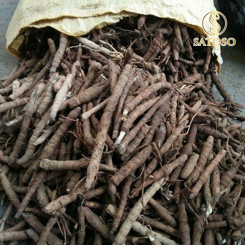 Sâm Cau Đen Khô SATOSO - Ảnh 3