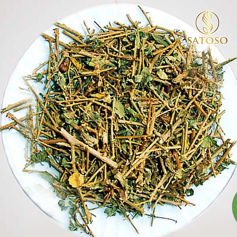 Cà Gai Leo Khô SATOSO - Ảnh 3