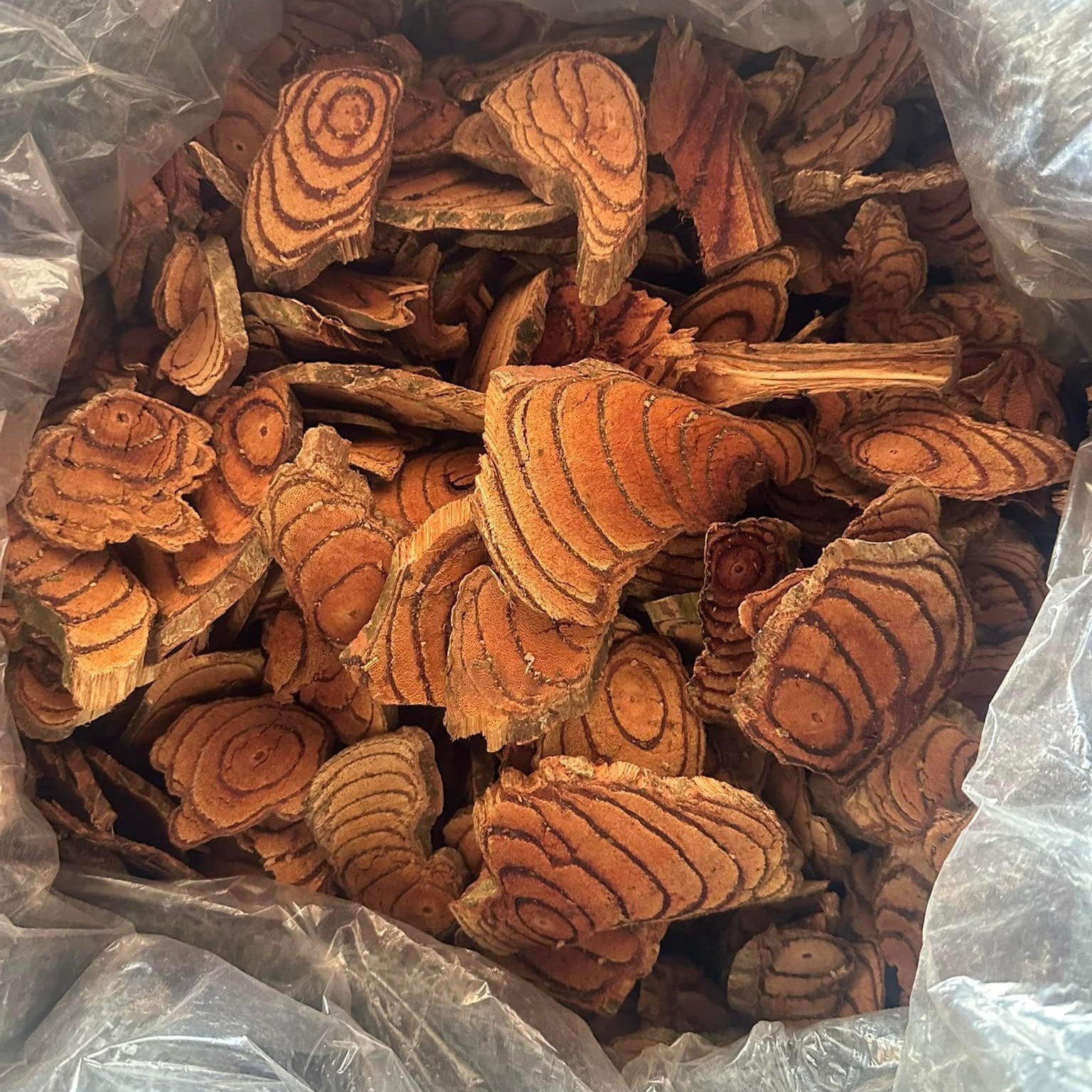 Cây Cỏ Máu Khô SATOSO - Ảnh 2