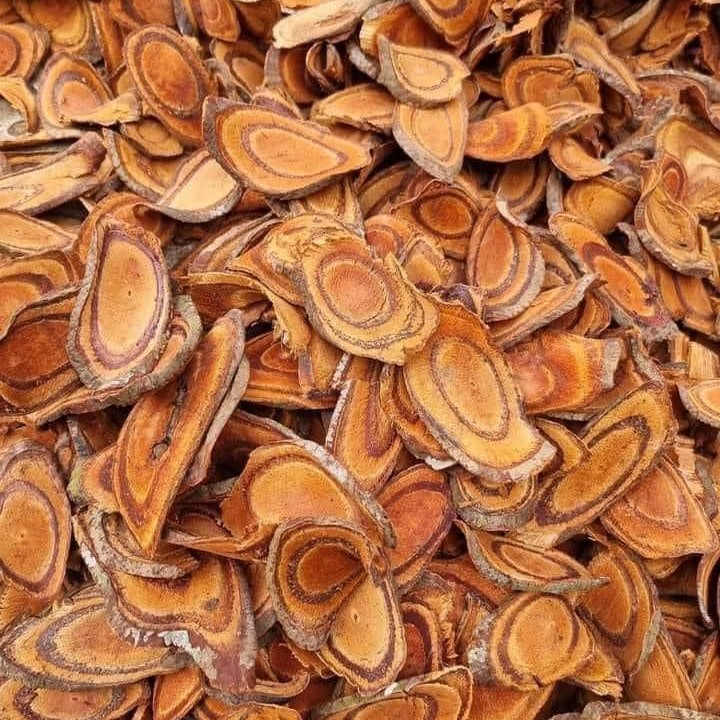 Cây Cỏ Máu Khô SATOSO - Ảnh 4