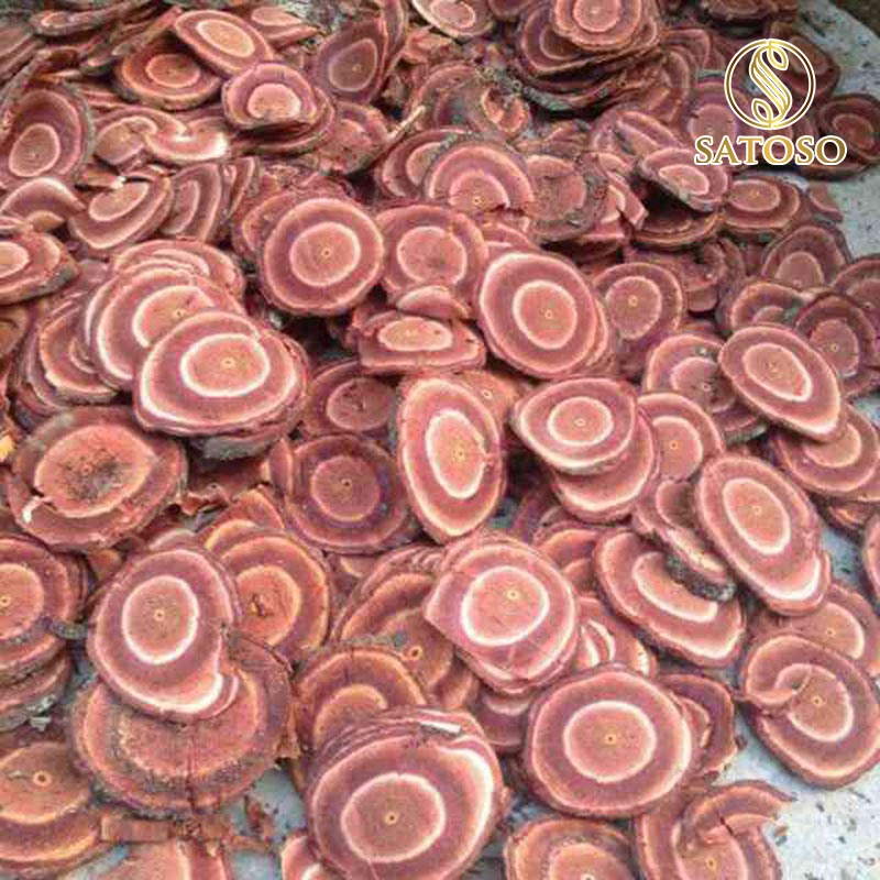 Cây Cỏ Máu Khô SATOSO - Ảnh 6