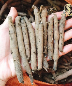 Sâm Cau Đen Khô SATOSO - Ảnh 6