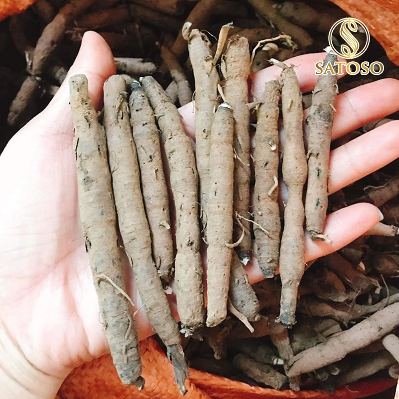 Sâm Cau Đen Khô SATOSO - Ảnh 6