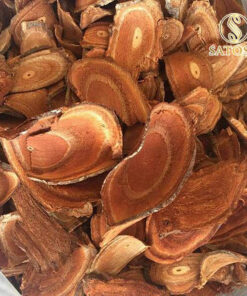 Cây Cỏ Máu Khô SATOSO - Ảnh 5