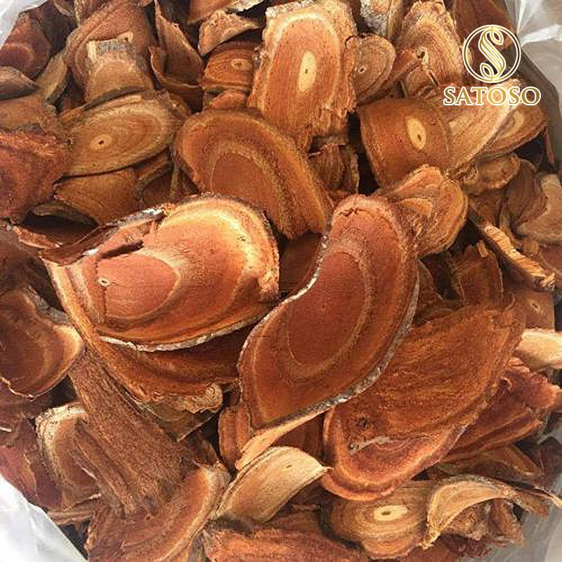 Cây Cỏ Máu Khô SATOSO - Ảnh 7