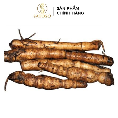 Sâm Cau Đen Khô SATOSO