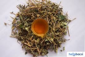 Cà Gai Leo Khô SATOSO - Ảnh 6