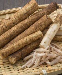 Rễ Ngưu Bàng Khô SATOSO - Ảnh 3