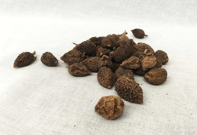 Sa Nhân Khô SATOSO - Ảnh 5