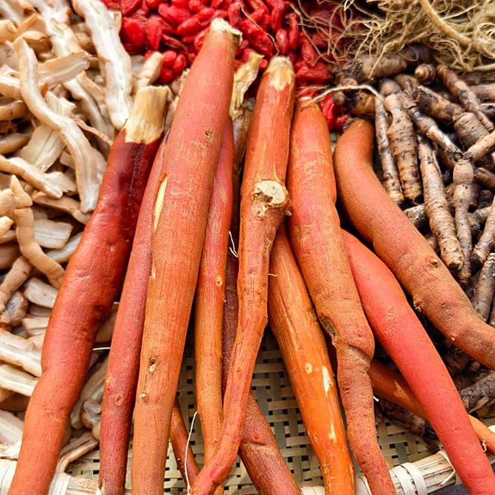 Sâm Cau Đỏ SATOSO - Ảnh 3