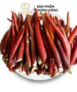 Tác dụng của Sâm Cau Đỏ với sức khỏe và cách sử dụng hiệu quả