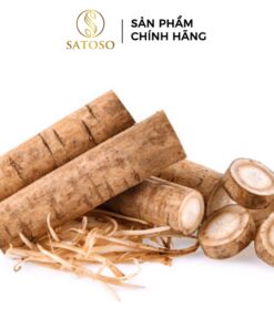 Rễ Ngưu Bàng Khô: Bí Quyết Thanh Lọc Cơ Thể Và Tăng Cường Sức Khỏe