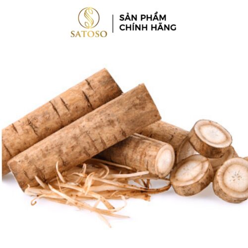 Rễ Ngưu Bàng Khô SATOSO