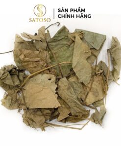 Tác dụng của lá vông nem khô trong việc cải thiện giấc ngủ tự nhiên
