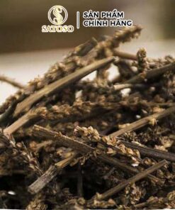 Bông Mã Đề Khô Là Gì? Công Dụng Tuyệt Vời Cho Sức Khỏe Bạn