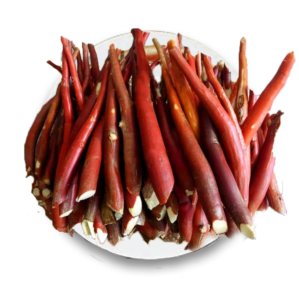 Sâm Cau Đỏ SATOSO - Ảnh 2