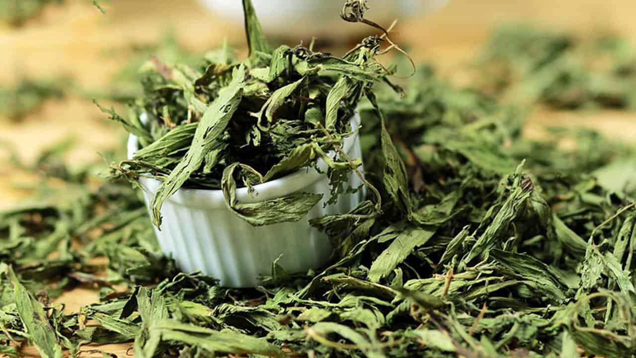 Cỏ Ngọt Nguyên Lá Sấy Khô SATOSO - Ảnh 2